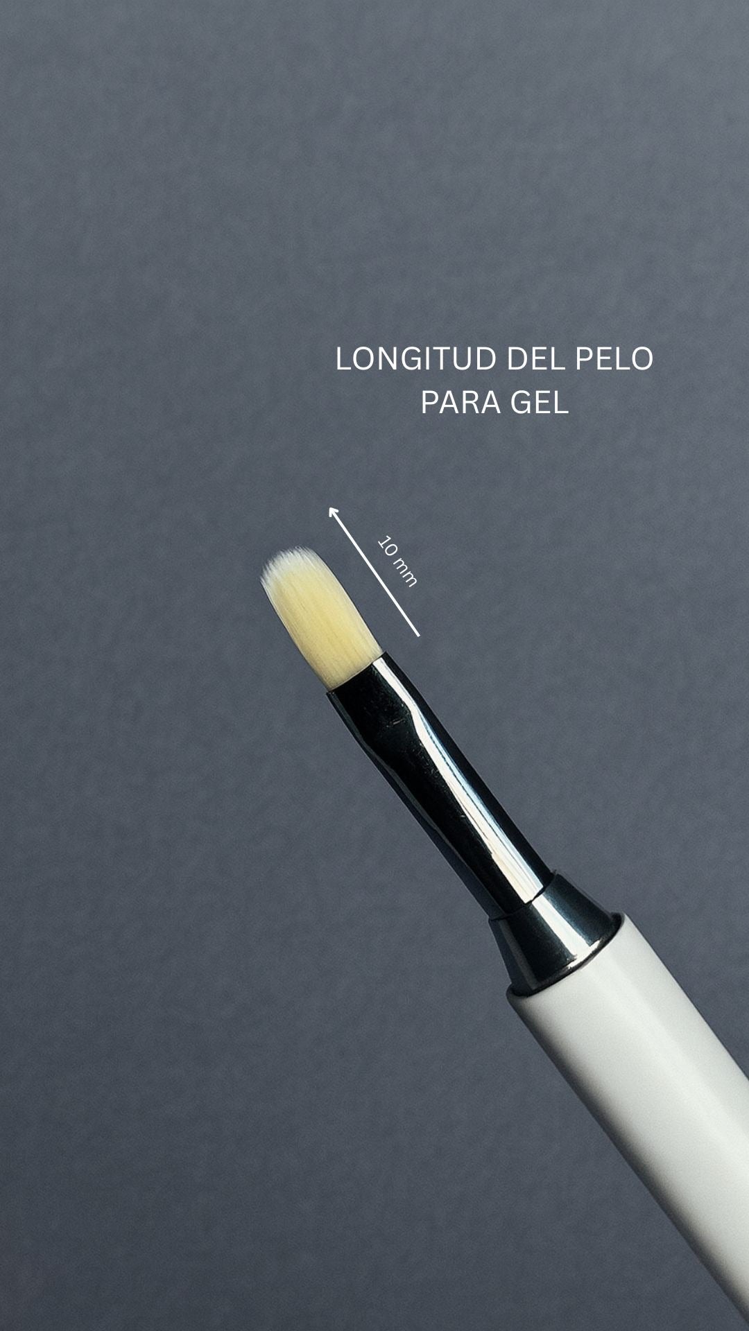 Pincel DOBLE Profesional BLIK