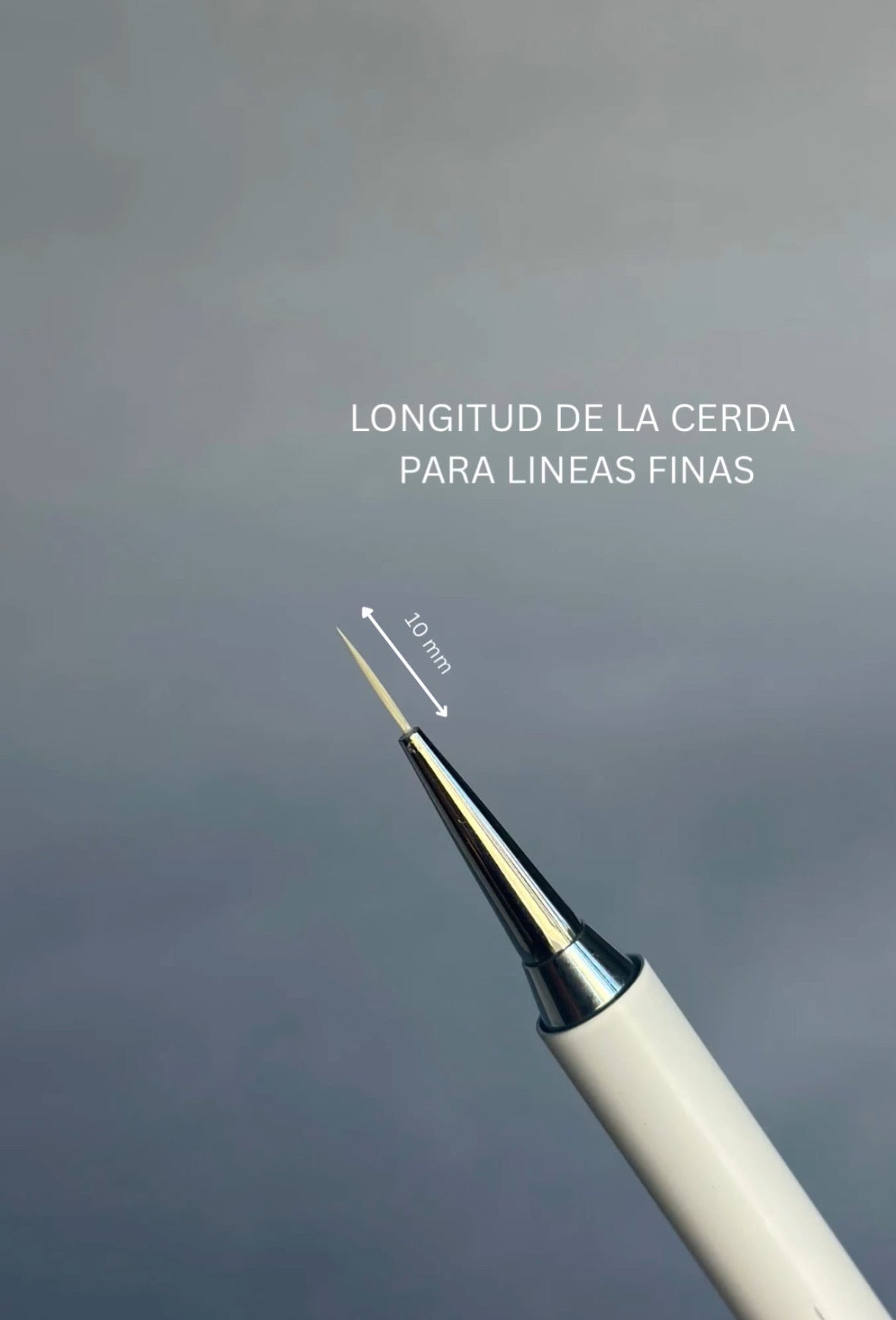 Pincel DOBLE Profesional BLIK